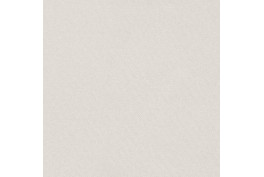 Basic Linings 27 Gent Greige
