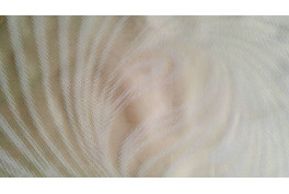 Bemini Cream