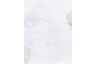 241609 col 5755