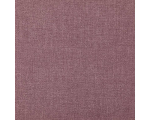 Softly 41 Softly Orchid
