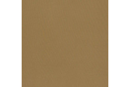 Sensei 07 Camel