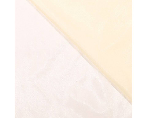 W875 v6