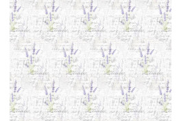 Wonderland 2496/43