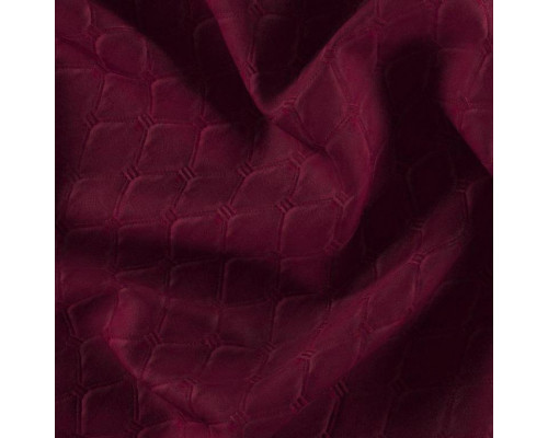 Tia 18 Tulip