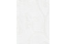 YP3570 J171 col 01