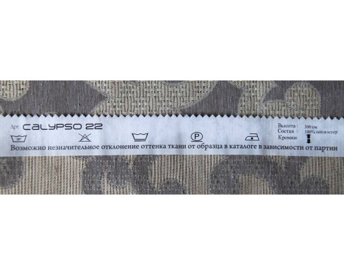 Calypso 22