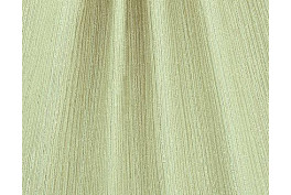 Siena 8