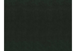 Zephir 2717/50