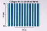 Calypso 44