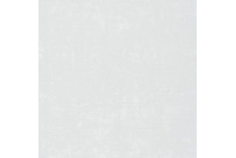 Aspen 6