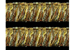 83317 VV5 Tumeric Wave