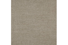 Pastel 57 Plait Biscuit