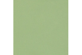 Basic Linings 07 Antwerp Linden