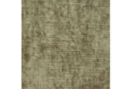 Aspen 8