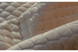Caspia 02 Vanilla