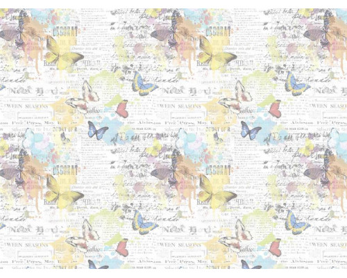 Wonderland 2519/90