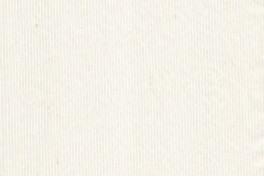 Vienna L343