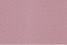 Alcor 23 Tea Rose