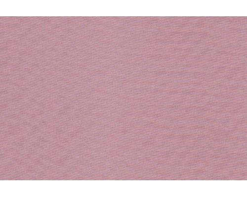 Alcor 23 Tea Rose