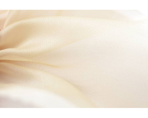 Vision Beige