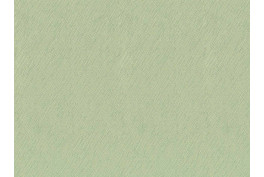 Select 2429/77